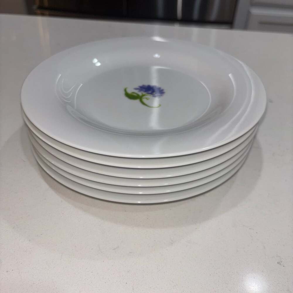 Pottery Barn Bloom Set of 6 Mixed Floral Salad Plates 8.5”